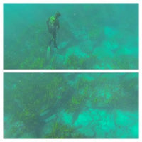 Rabitech Mamalian 3.5mm Yamamoto OPENCELL Wetsuit 2.jpg