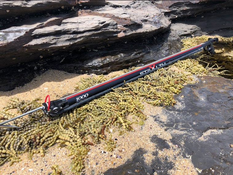 RABITECH Stealth X ROLLER Speargun