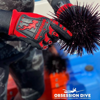HAMMERHEAD Mahi Mahi  Cray Gloves -Best Seller!