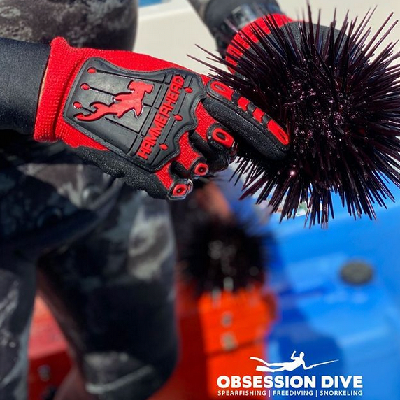 HAMMERHEAD Mahi Mahi  Cray Gloves -Best Seller!
